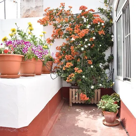 Apartment Veedor 12