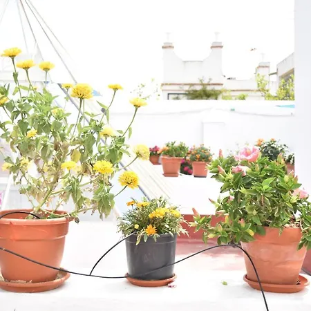 Veedor 12 דירה קדיז