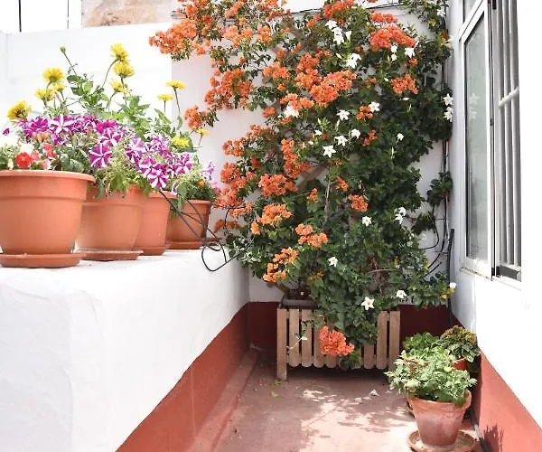 Apartament Veedor 12