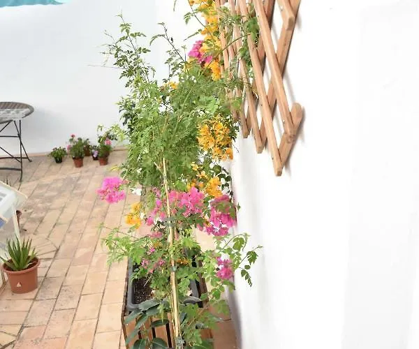 Apartament Veedor 12 *