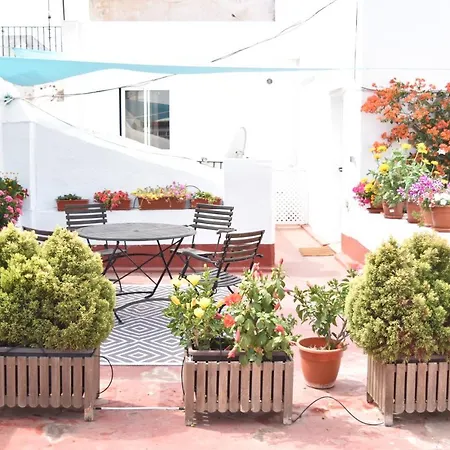 Apartment Veedor 12 *