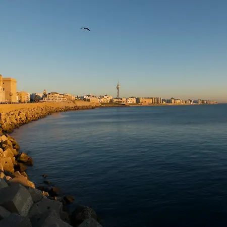 Appartement Veedor 12