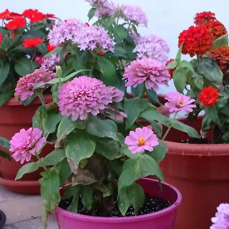 Apartment Veedor 12 Cadiz