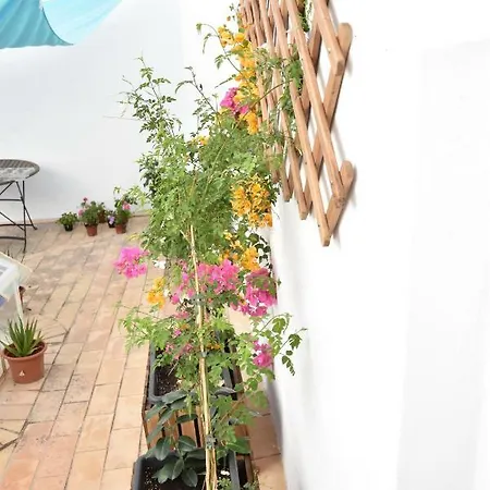 Appartement Veedor 12 *