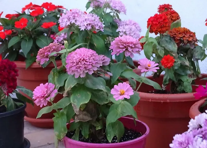 Lägenhet Veedor 12 Cádiz