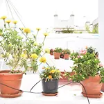 Veedor 12 Appartement Cádiz