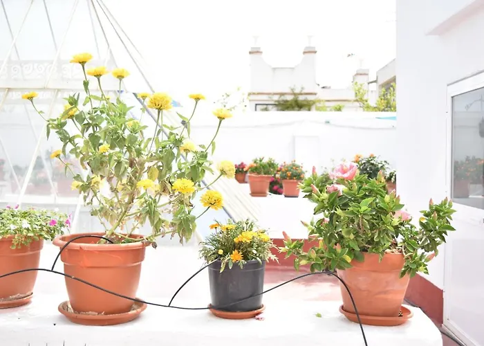 Veedor 12 Appartement Cádiz