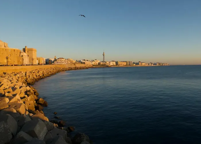 Апартаменти Veedor 12